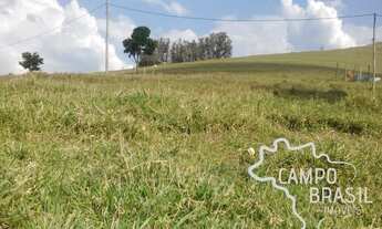 Imagem 3: Fazenda de 98 alqueires no Sul de Minas!