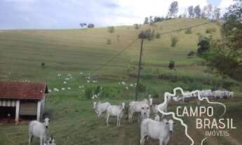 Imagem 2: Fazenda de 98 alqueires no Sul de Minas!