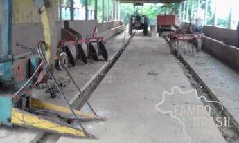 Imagem 5: Fazenda de 98 alqueires no Sul de Minas!