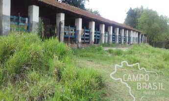 Imagem 4: Fazenda de 98 alqueires no Sul de Minas!