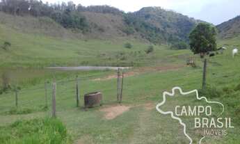 Imagem 7: Fazenda de 98 alqueires no Sul de Minas!