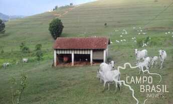 Imagem 6: Fazenda de 98 alqueires no Sul de Minas!