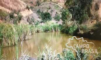 Imagem 2: Fazenda em Lavrinhas de 100 alqueires!