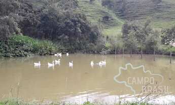 Imagem 3: Oportunidade rural! Sítio formado na Zona Norte