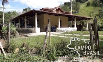 Imagem: Oportunidade rural! Sítio formado na Zona