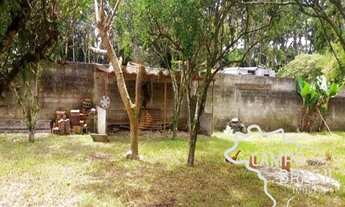 Imagem 7: Oportunidade! Chácara com churrasqueira, pomar formado e edícula!