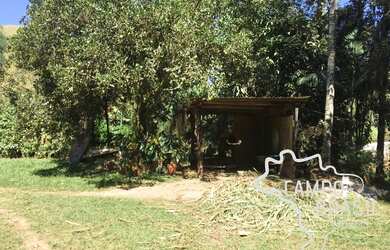 Imagem 5: Sítio formado de 2 aq na Zona Norte! Com curral, pasto formado e casa!