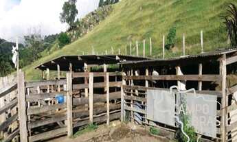 Imagem 5: Sítio formado de 51 aq em São Luiz do Paraitinga!