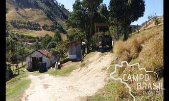 Imagem 7: Sítio formado de 51 aq em São Luiz do Paraitinga!