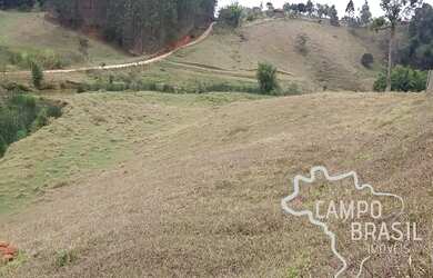 Imagem 2: Lindo sítio formado em Paraibuna! 100% tratorável!