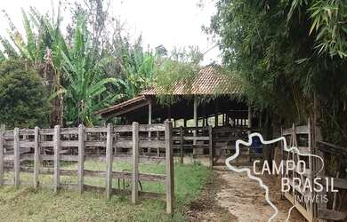 Imagem 7: Lindo sítio formado em Paraibuna! 100% tratorável!