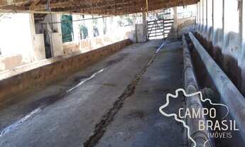 Imagem 2: Linda Fazenda de 342 ha com Casarão! Topografia mista!