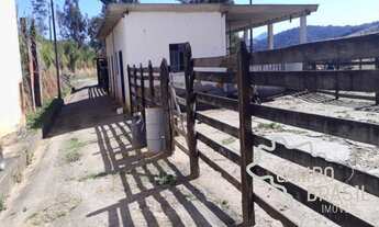 Imagem 3: Linda Fazenda de 342 ha com Casarão! Topografia mista!