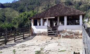 Imagem 4: Linda Fazenda de 342 ha com Casarão! Topografia mista!