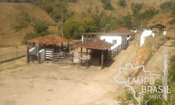 Imagem 6: Linda Fazenda de 342 ha com Casarão! Topografia mista!