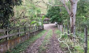 Imagem: Sítio formado em São Francisco Xavier!