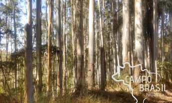 Imagem 6: Sítio com 3 lagos, em Caçapava