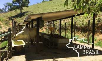 Imagem 4: Lindo sítio próximo a cidade. Estuda permuta