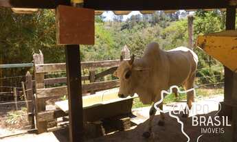 Imagem 6: Lindo sítio próximo a cidade. Estuda permuta