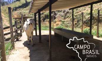 Imagem 5: Lindo sítio próximo a cidade. Estuda permuta