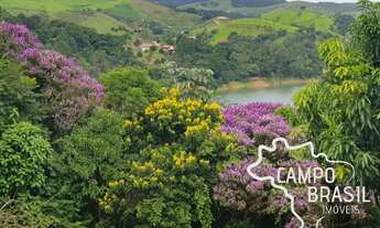 Imagem 3: Linda chácara, apenas 4 km do asfalto