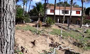 Imagem 6: Linda chácara com nascente, horta, pomar