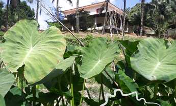 Imagem 7: Linda chácara com nascente, horta, pomar