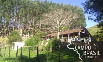 Imagem 5: Fazenda com 125 alqueires em Paraibuna