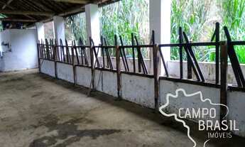 Imagem 6: Fazenda com 125 alqueires em Paraibuna