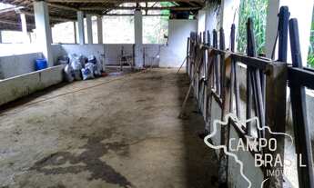 Imagem 7: Fazenda com 125 alqueires em Paraibuna