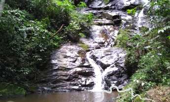 Imagem 2: Fazenda com 125 alqueires em Paraibuna