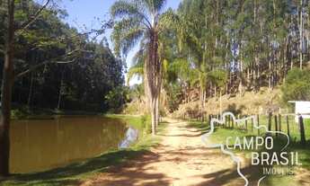 Imagem 3: Fazenda com 125 alqueires em Paraibuna