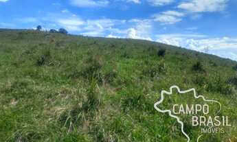 Imagem 4: Área rural com 5 alqueires. Linda vista!