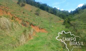 Imagem 6: Área rural com 5 alqueires. Linda vista!