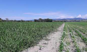 Imagem 2: Área rural de 2,3 alqueires em Caçapava