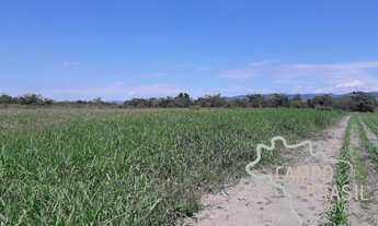 Imagem 5: Área rural de 2,3 alqueires em Caçapava