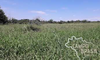 Imagem 7: Área rural de 2,3 alqueires em Caçapava