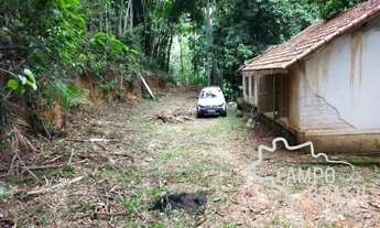 Imagem 2: Sítio na beira do asfalto, com cachoeiras e 3aq de Eucalipto