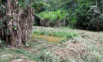 Imagem 4: Sítio na beira do asfalto, com cachoeiras e 3aq de Eucalipto