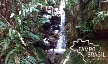 Imagem 6: Sítio na beira do asfalto, com cachoeiras e 3aq de Eucalipto