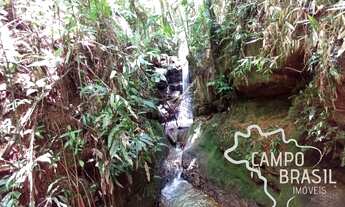 Imagem 7: Sítio na beira do asfalto, com cachoeiras e 3aq de Eucalipto