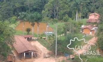 Imagem 3: Linda fazenda de 86 alqueires em produção! Com 40 aq de Eucalipto!