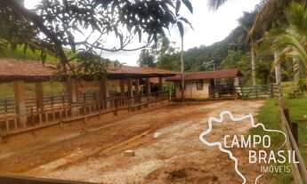 Imagem 4: Linda fazenda de 86 alqueires em produção! Com 40 aq de Eucalipto!