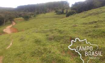 Imagem 7: Linda fazenda de 86 alqueires em produção! Com 40 aq de Eucalipto!