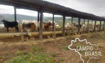 Imagem: FAZENDA RURAL em Tremembé - SP, centro