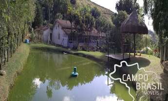 Imagem 2: Linda chácara formada! Com nascente, casa boa e escriturada