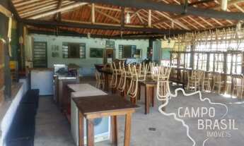 Imagem 3: Linda chácara formada e próxima da cidade! Com casa boa, piscina e lago!