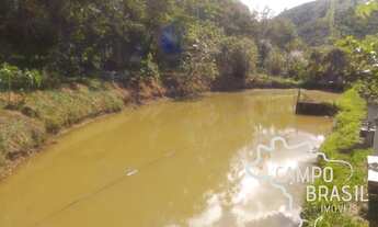 Imagem 4: Linda chácara formada e próxima da cidade! Com casa boa, piscina e lago!