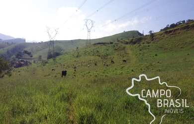 Imagem 4: Oportunidade! Área rural de 2,74 aq a 1km da Rodovia dos Tamoios!