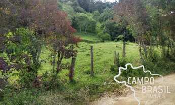 Imagem: Sítio bem localizado! Escriturado e com